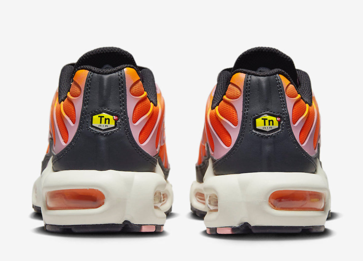 TN Air Max Plus ‘Flow’