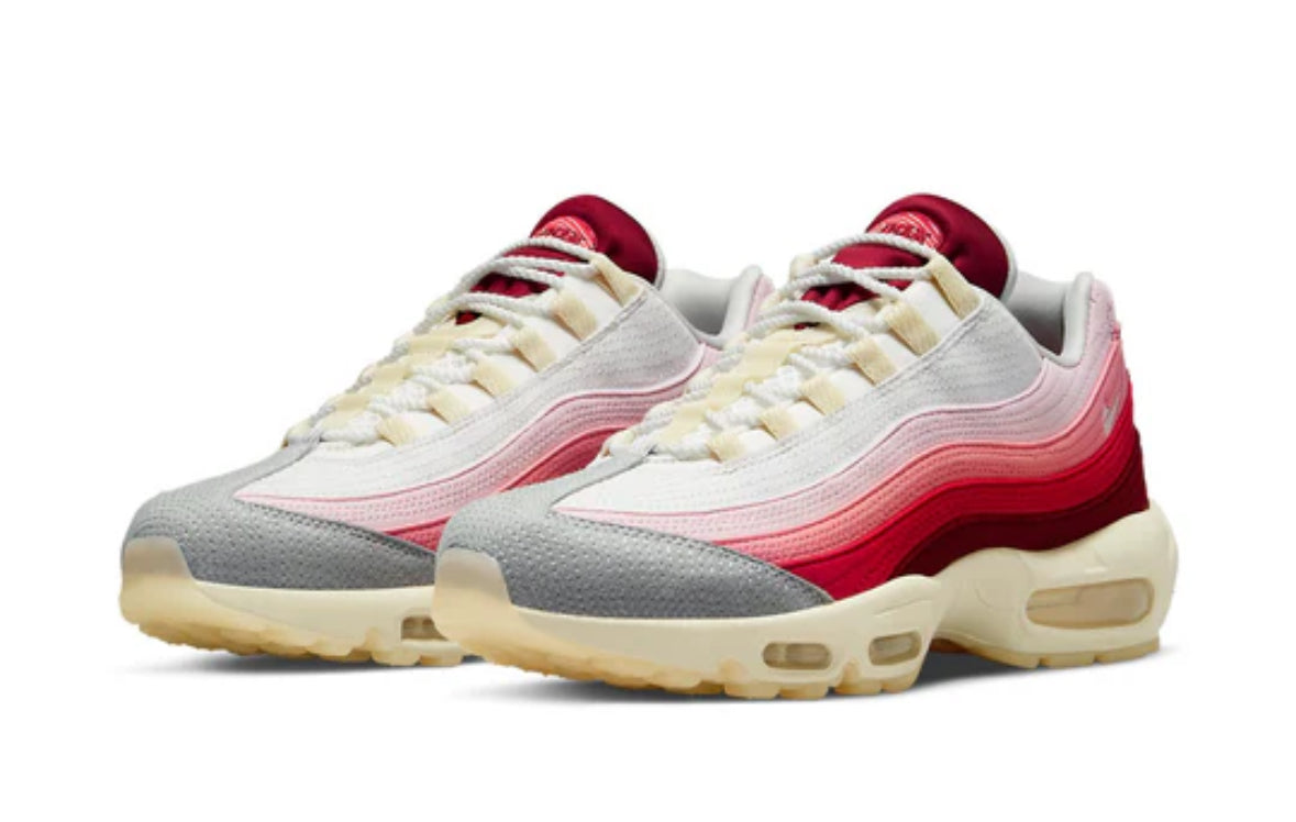 Nike Air Max 95 'Anatomy Of Air'